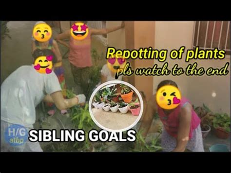 siblings in tagalog|Iba pa.